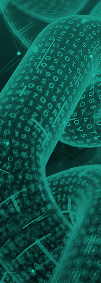 Digital Transformation