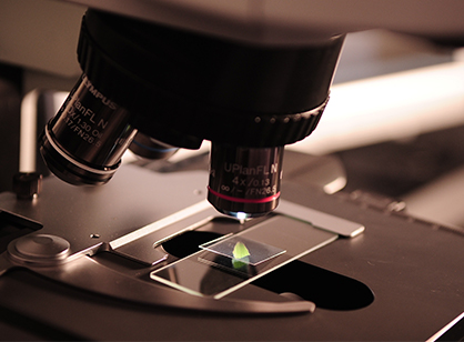 Quality Assurance And Testing Services